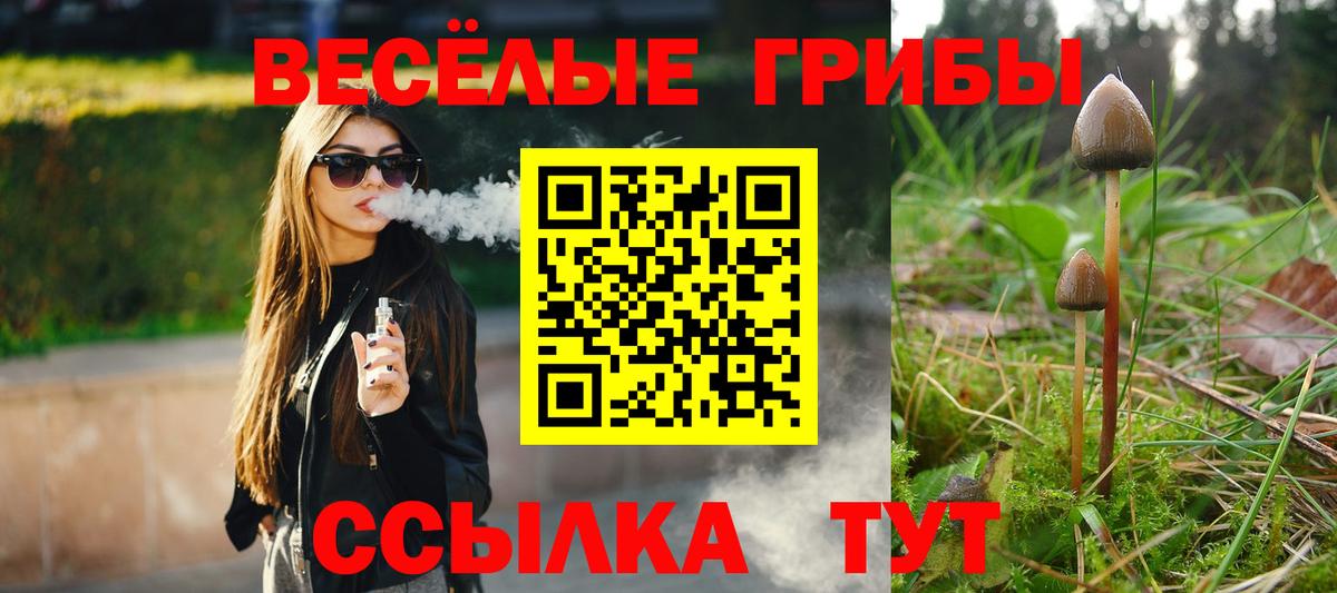 Псилоцибиновые грибы Magic Shrooms  Вход с VPN  Ялта  Галлюциногенные грибы MAGIC MUSHROOMS 